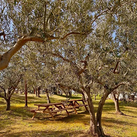 Holiday home Oasi Macerina *