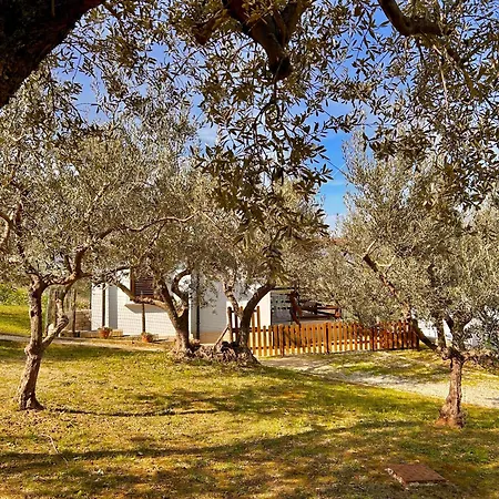 Holiday home Oasi Macerina Alanno