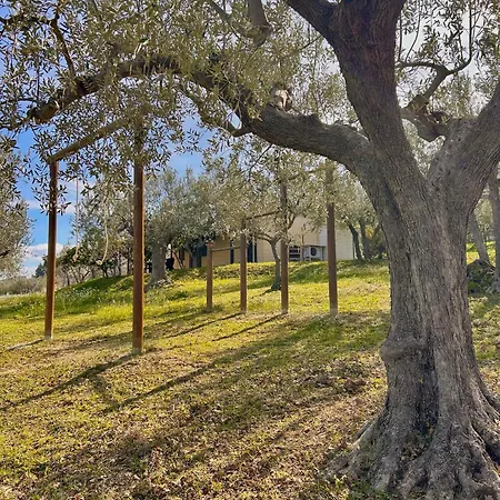 Oasi Macerina Holiday home