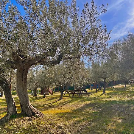 Oasi Macerina Hébergement de vacances *