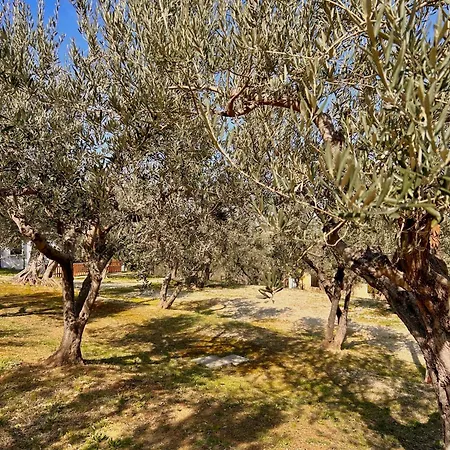 Holiday home Oasi Macerina *