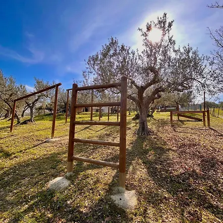 Oasi Macerina Holiday home