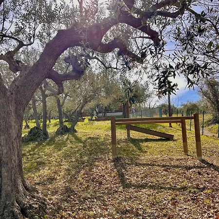 Holiday home Oasi Macerina