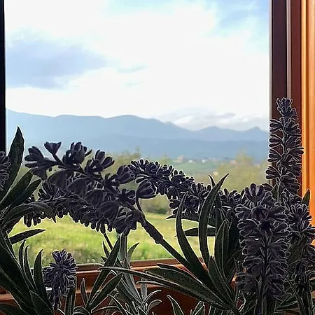 Holiday home Oasi Macerina *