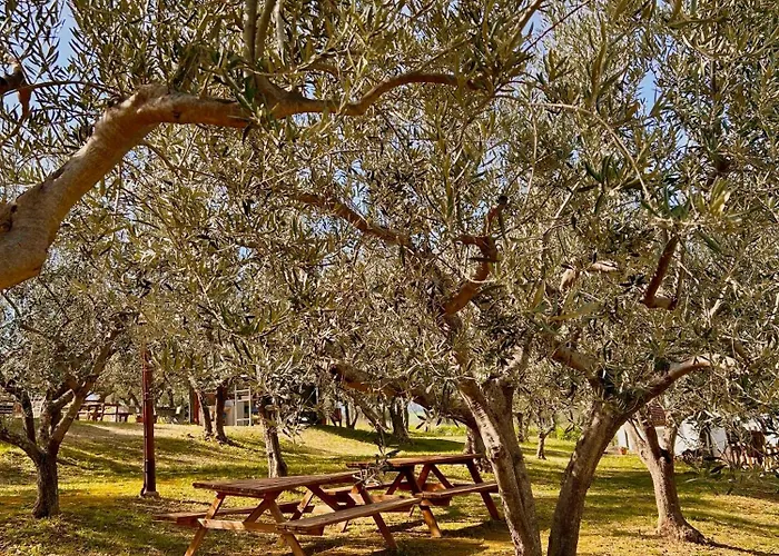 Nyaraló Oasi Macerina *