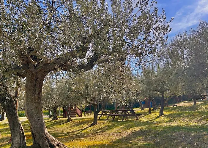 Oasi Macerina Nyaraló *