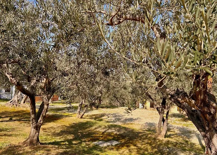 Nyaraló Oasi Macerina *