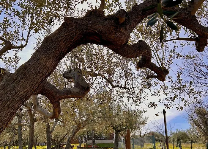 Oasi Macerina Alanno