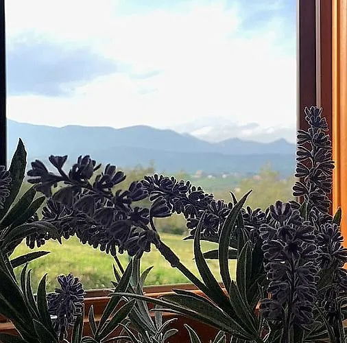 Nyaraló Oasi Macerina *